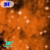 [BFT2007] 232