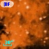 [BFT2007] 234