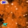 [BFT2007] 250