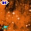 [BFT2007] 252