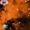 [BFT2007] 257