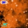 [BFT2007] 258