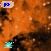 [BFT2007] 261