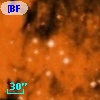 [BFT2007] 279
