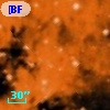 [BFT2007] 293