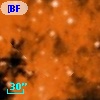 [BFT2007] 298
