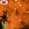 [BFT2007] 300
