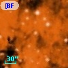 [BFT2007] 302