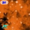 [BFT2007] 306