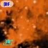 [BFT2007] 318