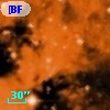 [BFT2007] 325