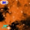[BFT2007] 326