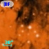 [BFT2007] 338