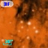 [BFT2007] 339