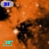 [BFT2007] 342