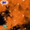 [BFT2007] 352
