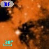 [BFT2007] 362