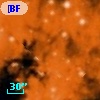 [BFT2007] 372
