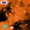 [BFT2007] 377