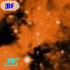 [BFT2007] 379