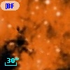 [BFT2007] 383
