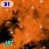[BFT2007] 388