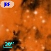 [BFT2007] 389