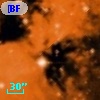 [BFT2007] 392