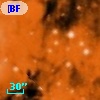 [BFT2007] 394
