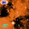 [BFT2007] 412