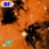 [BFT2007] 428