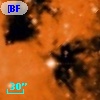 [BFT2007] 437