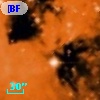 [BFT2007] 460