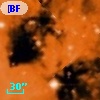 [BFT2007] 461