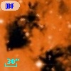 [BFT2007] 463