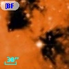 [BFT2007] 473