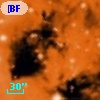 [BFT2007] 477