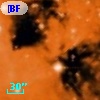 [BFT2007] 483