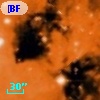 [BFT2007] 492