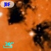 [BFT2007] 499