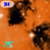 [BFT2007] 503