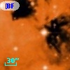 [BFT2007] 504