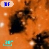 [BFT2007] 512