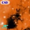 CXOU J182029.8-160957