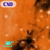 CXOU J182029.8-160902