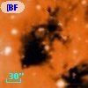 [BFT2007] 544