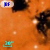 [BFT2007] 552