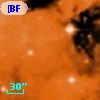 [BFT2007] 555