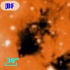 [BFT2007] 566