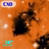 CXOU J182030.3-161041